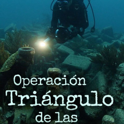 Timeline: La Verdad Del Triangulo