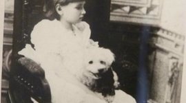 Timeline: Helen Keller's Early Years