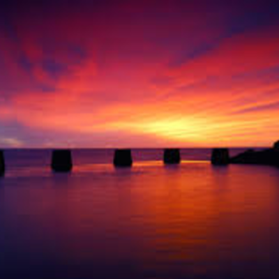 Timeline: first fleet 1