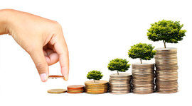 Timeline: Coonts' Island