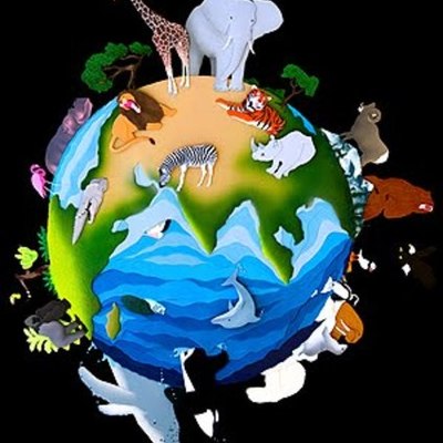 Timeline: La evolución del mundo