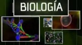 Timeline: HISTORIA DE LA BIOLOGIA