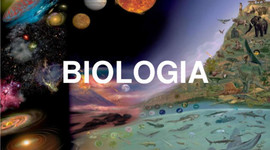 Timeline: La Historia De La Biología