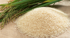 Timeline: The History of Rice 2800 B.C.-Present