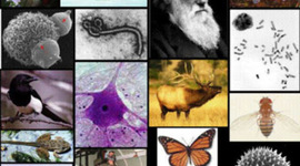 Timeline: HISTORIA DE LA BIOLOGÍA LINEA DEL TIEMPO