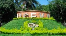 Timeline: Linea de tiempo