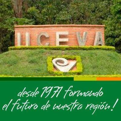 Timeline: Historia Unidad Central del Valle del Cauca