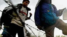 Timeline: La Migarción