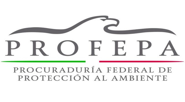 ANTECEDENTES DEL DESARROLLO SUSTENTABLE timeline | Timetoast timelines