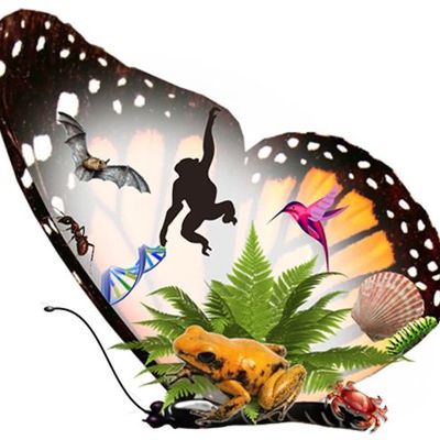 Timeline: HISTORIA DE LA BIOLOGIA