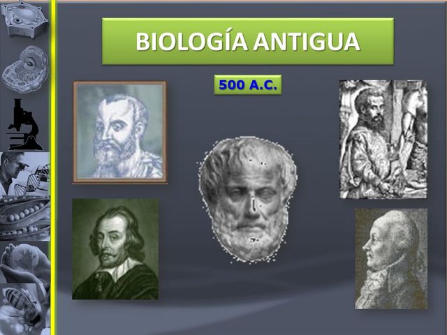 HISTORIA DE LA BIOLOGÍA timeline | Timetoast timelines