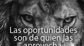 Timeline: Historia de la  gestion documental