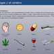 Drogas cerebro