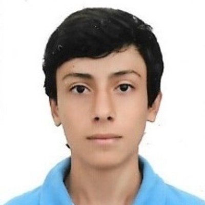 Timeline: Santiago Vergara  Bustamante