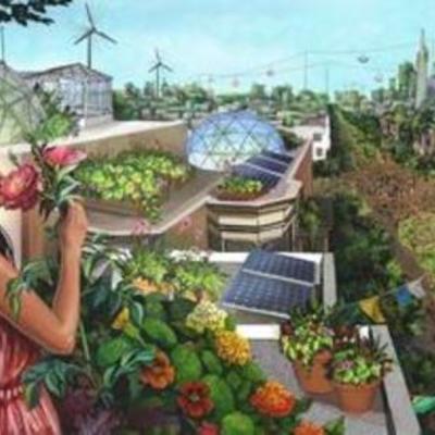 Timeline: Origen del Desarrollo Sustentable