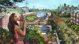 Timeline: Origen del Desarrollo Sustentable