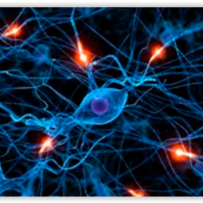 Timeline: Evolución de Redes de Computadoras