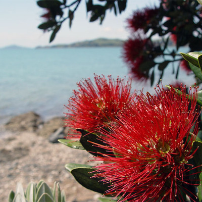 Timeline: MY READING LOG!