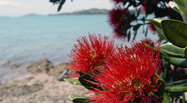 Timeline: MY READING LOG!