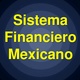 Finanzas sistema financiero nacional 1 728