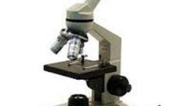 Timeline: el microscopio