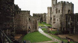 Timeline: medieval Europe & japan under shogans