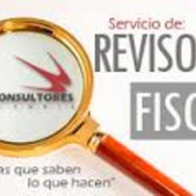 Timeline: REVISORIA FISCAL