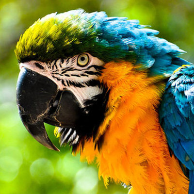 Timeline: Sydney floods /fires and Rio floods/fires