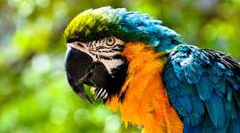 Timeline: Sydney floods /fires and Rio floods/fires