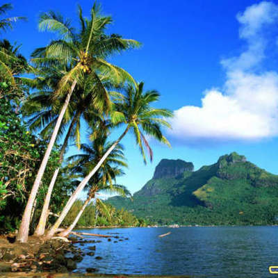 Timeline: Gestión ambiental