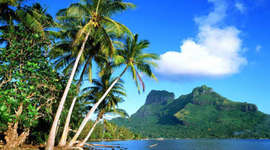 Timeline: Gestión ambiental