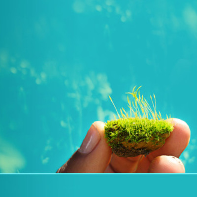 Timeline: Construção da Vigilância em saúde ambiental no Brasil