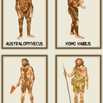 Timeline: EVOLUCIÓN DEL HOMBRE