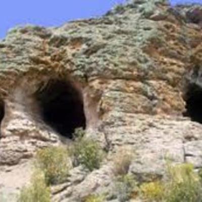 Timeline: evolucion de las casas