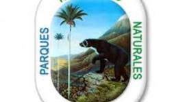 Timeline: Ejercicio de Coordinación del PNN Yaigojé Apaporis