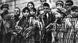 Timeline: The Holocaust