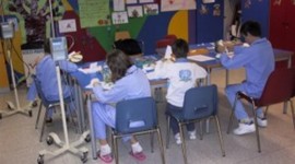 Timeline: Evolución de la Pedagogía Hospitalaria