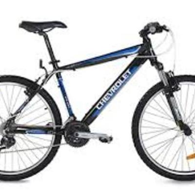 Timeline: evolucion de la bicicleta