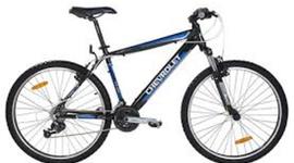 Timeline: evolucion de la bicicleta