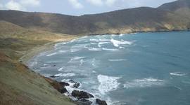 Timeline: Historia de la edafologi