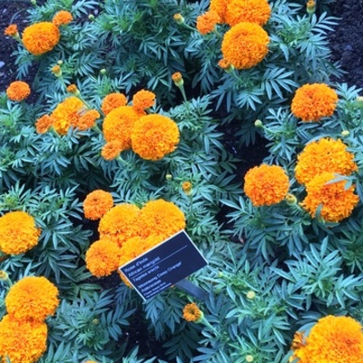 Timeline: Liberalism timeline