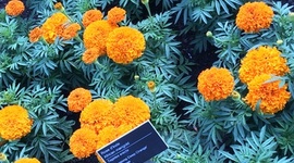 Timeline: Liberalism timeline