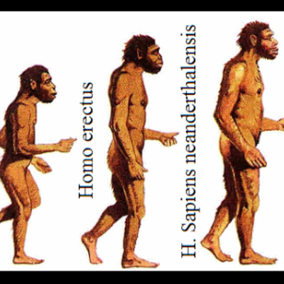 Timeline: La historia de la humanidad