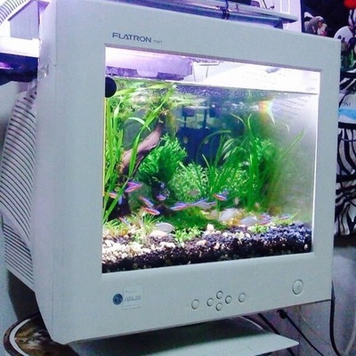 Timeline: Generación de computadoras