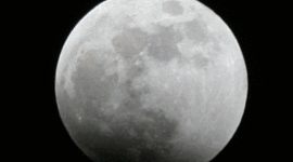 Timeline: juan diego luna