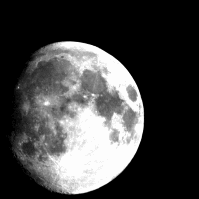 Timeline: claudia valeria la luna