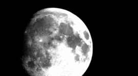 Timeline: claudia valeria la luna