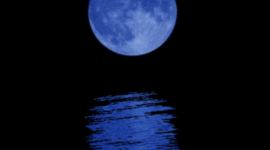 Timeline: andrea la luna