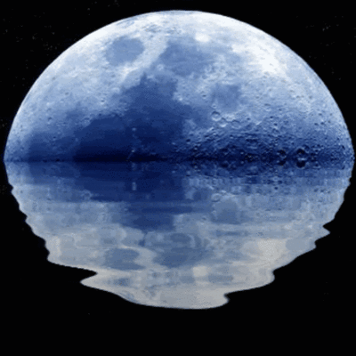 Timeline: RICARDO LUNA