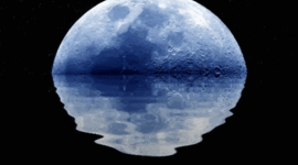 Timeline: RICARDO LUNA